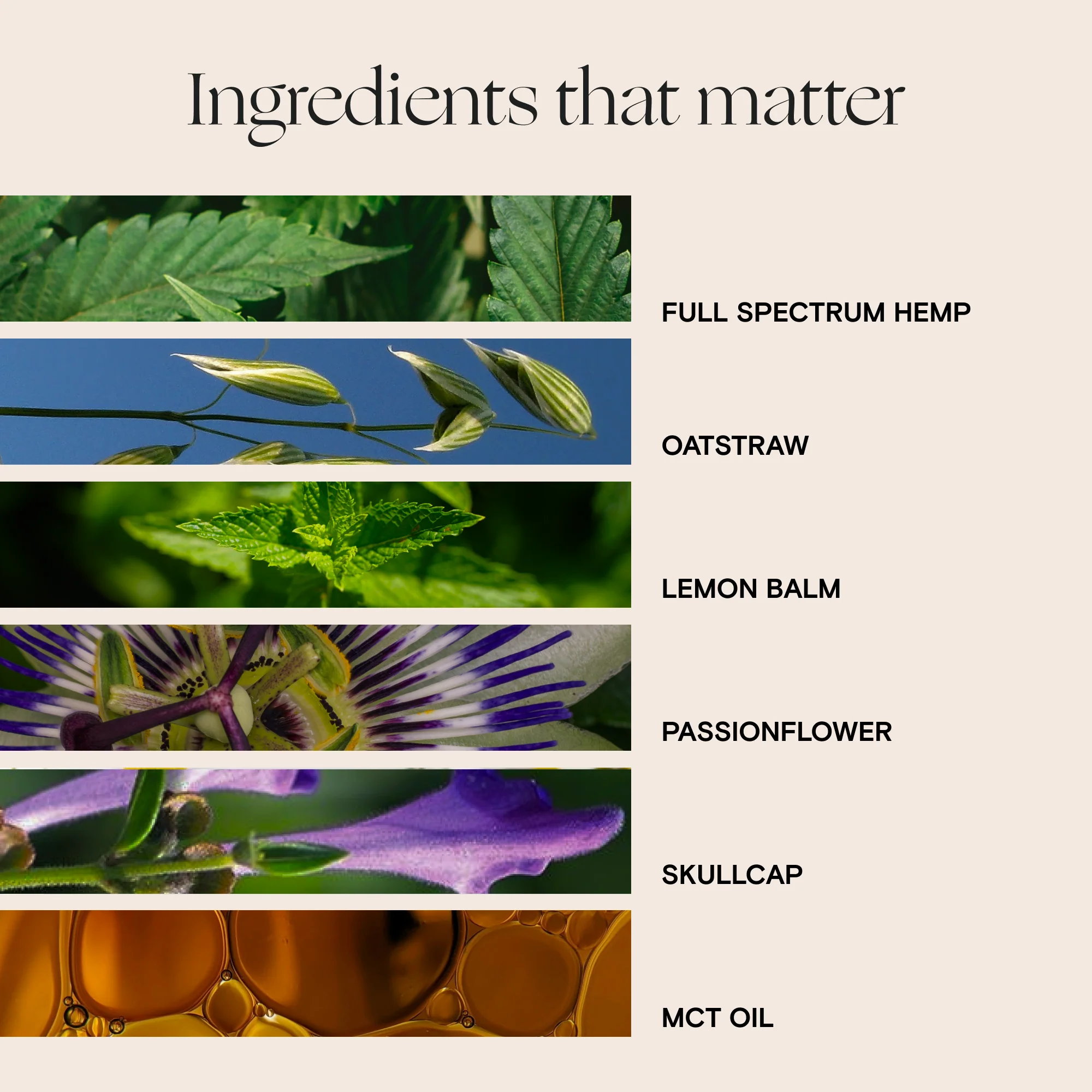Sleep Capsules - Image 5